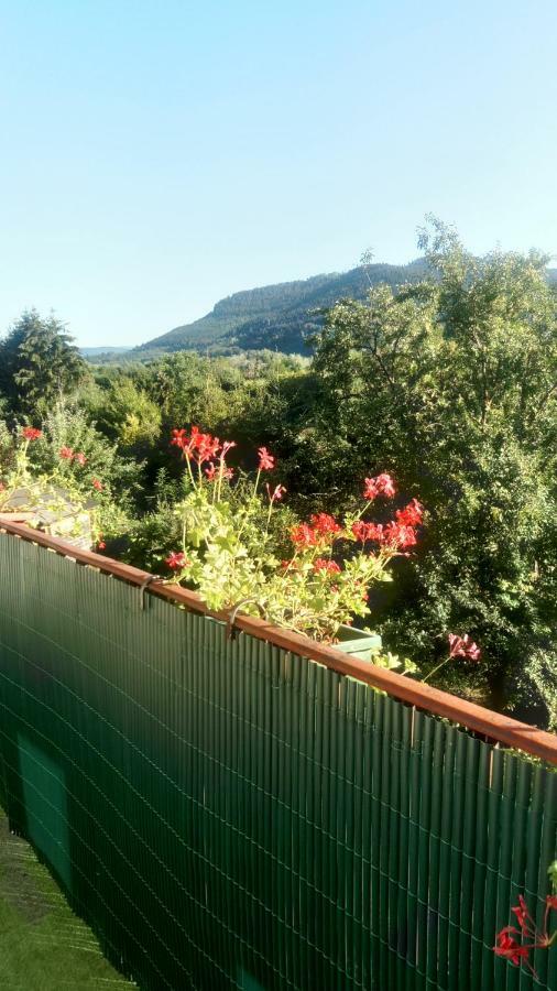 Au Gre Des Sentiers Chez Marie Et Pierre Bed & Breakfast Saint-Die-des-Vosges Dış mekan fotoğraf