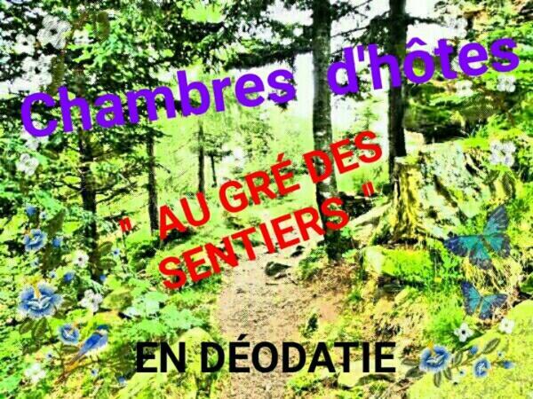 Au Gre Des Sentiers Chez Marie Et Pierre Bed & Breakfast Saint-Die-des-Vosges Dış mekan fotoğraf