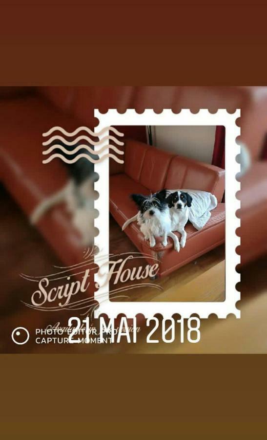 Au Gre Des Sentiers Chez Marie Et Pierre Bed & Breakfast Saint-Die-des-Vosges Dış mekan fotoğraf